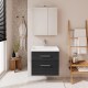 Spintelė voniai Riva SA63-2 65 cm Woodflow Ash, stalčiai,  su praustuvu