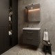 Veidrodinė spintelė Riva SV60C-2 60 cm Woodflow Ash, su apšvietimu