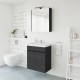 Veidrodinė spintelė Riva SV64E 64 cm Woodflow Ash, su apšvietimu