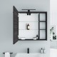 Veidrodinė spintelė Riva SV70-6 68 cm Woodflow Ash, su apšvietimu Veidrodinė spintelė Riva SV70-6 68 cm Woodflow Ash, su apšvietimu