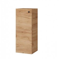 Ūkinė spintelė Riva UA32-11 32 cm Gold Craft Oak